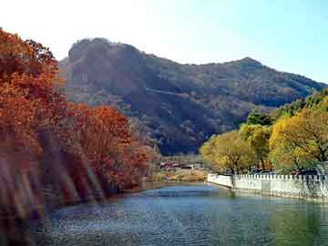 新澳天天开奖资料大全旅游团，丫鬟小说